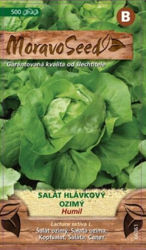Šalát zimný MS Humil 500s.