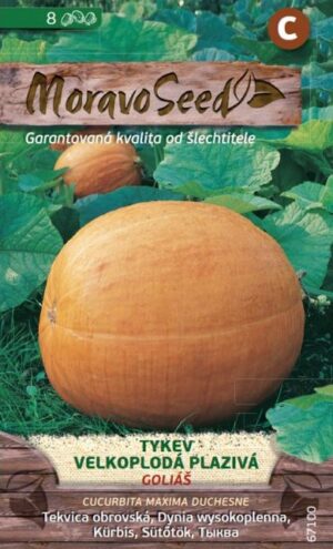 Tekvica plaz. MS Goliáš- obrovská 3g/ 8s.