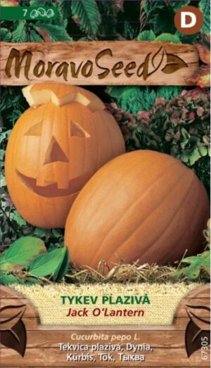 Tekvica plaz. MS Jack o Lantern- obrovská 1,5g/ 7s.