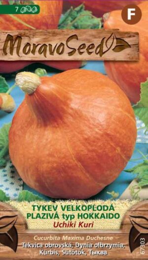 Tekvica MS Uchiki Kuri - typ Hokkaido, plaz., vekoplodá 1,5g/ 7s.