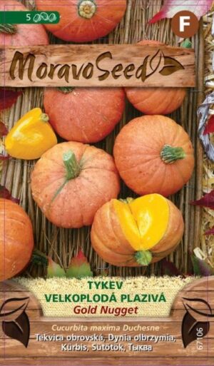 Tekvica MS Gold Nugget - plazivá vekoplodá 1,5g/ 5s.