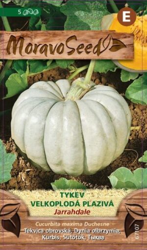 Tekvica MS Jarradhale - plazivá vekoplodá 1g/ 5s.