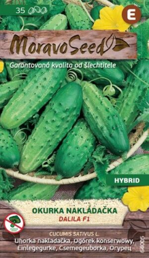 Uhorka nakl. MS Dalila F1 - hruboostná, 1,5g/ 35s.