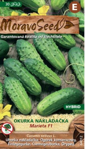 Uhorka nakl. MS Marieta F1 - hruboostná, 1,5g/ 35s.