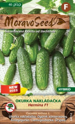 Uhorka nakl. MS Hermina F1-  hruboostná, partenokarpická 1g/ 40s.