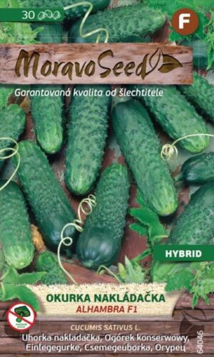 Uhorka nakl. MS Alhambra F1-  hruboostná, partenokarpická 1g/ 25s.