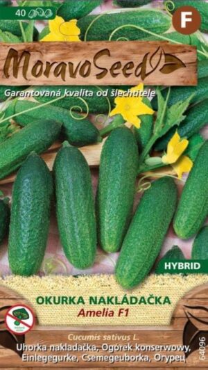 Uhorka nakl. MS Amelia F1 - jemnoostná, partenokarp. 1,3g/35s.