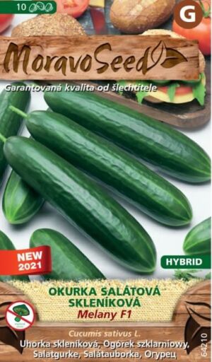 Uhorka sklen. MS Melany F1  - poloskorá, 10 s.