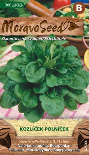 Valeriana MS Kozlíček polníček - do šalátov 1,5g/ 300s.