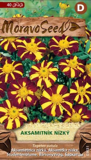 Aksamietnica rozložiá MS nízka jednoduchá žltá žíhaná 0,15g/ 30s.