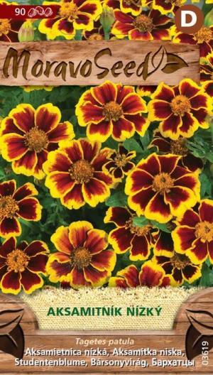 Aksamietnica rozložitá MS nízka jednoduchá žlto hnedá 0,3g/ 90s.