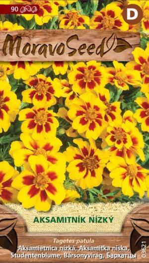 Aksamietnica rozložitá MS nízka jednoduchá hnedo žltá 0,3g/ 60s.