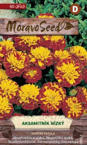 Aksamietnica rozložitá MS nízka plnokvetá hnedo žltá 0,2g/ 30s.