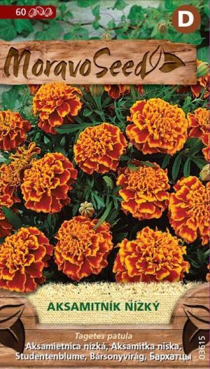 Aksamietnica rozložitá MS nízka plnokvetá oranžovo hnedá 0,2g/ 40s.