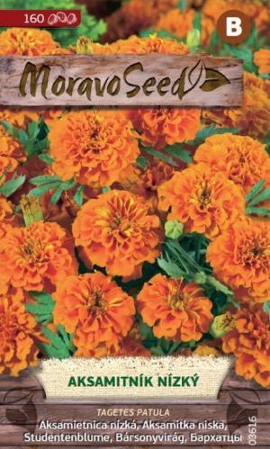 Aksamietnica rozložitá MS nízka plnokvetá oranžová 0,8g/ 130s.