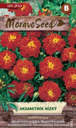 Aksamietnica rozl. MS nízka plnokv. červenohnedá 0,8g/ 160s.