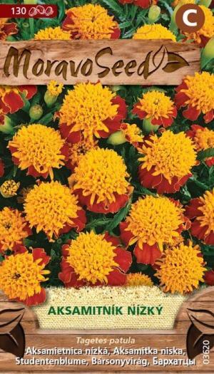 Aksamietnica rozložitá MS nízka plnokvetá žltohnedá 0,6g/ 120s.