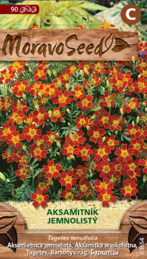 Aksamietnica tenkolistá MS červená 0,2g/ 90s.