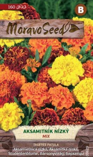 Aksamietnica rozl. MS Nízka plnokv. zmes 0,8g/ 160s.