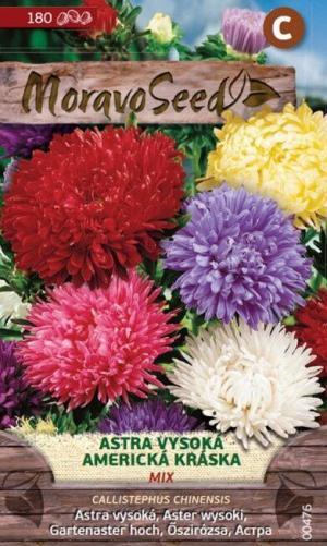 Astra Americká kráska MS zmes 0,6g/ 180s.