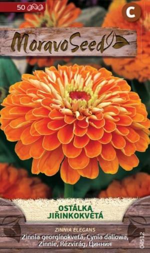 Cínia MS Dáliokvetá oranžová 0,7g/ 50s.