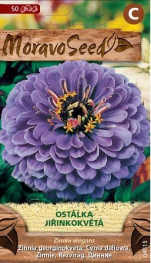 Cínia MS Dáliokv. fialová 0,7g/ 50s.