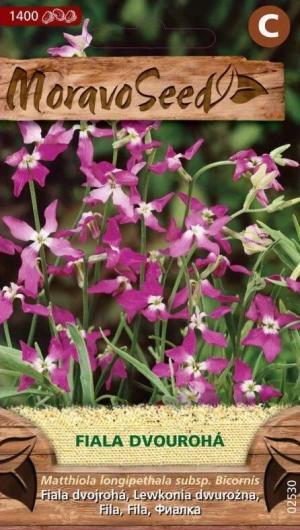 Fiala dvojrohá MS (Matthiola bicornis) fialová 2 g/ 1400s.
