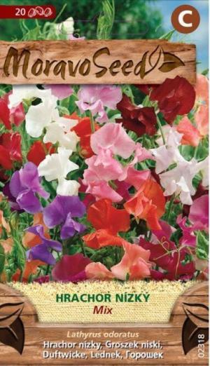Hrachor voňavý MS nízky 2g/ 20s.