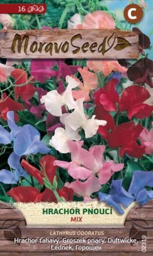 Hrachor voňavý MS ťahavý 2g/ 20s.