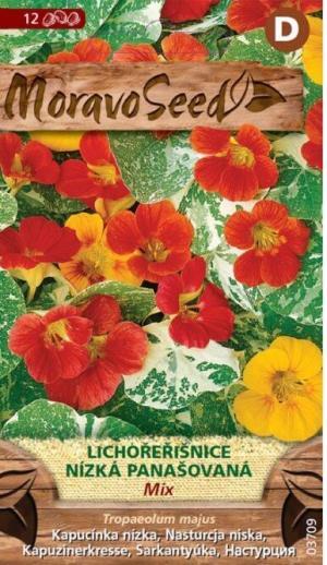 Kapucínka nízka MS jednod., panašov.list 2g/ 12s.