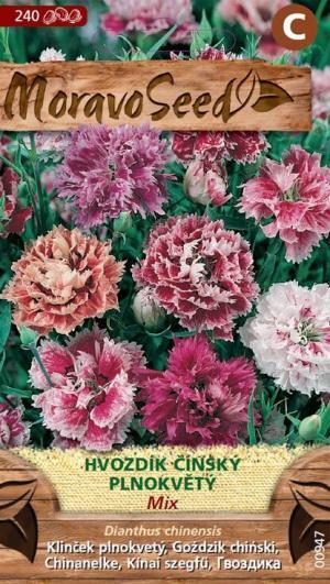 Klinček čínsky MS - plnokvetá zmes (Dianthus chinensis) 0,4g/ 240s.