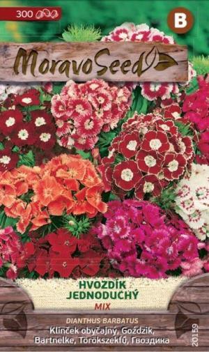 Klinček turecký MS - vys.jedn. zmes,  Dianthus barbatus, 0,5g/ 300s.