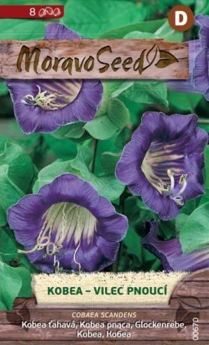 Kobea MS (Vilec) ťahavá fialová 8s.