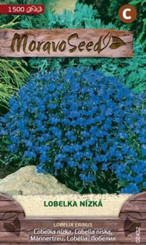 Lobelka vzpriam. MS  modrá 0,15g/ 1500s.