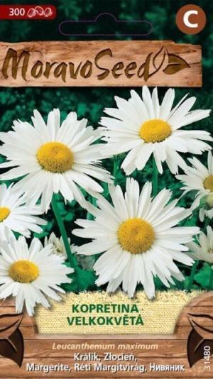 Margaréta veľkvetá MS Leucanthemum maximum  0,35 g/ 200s.