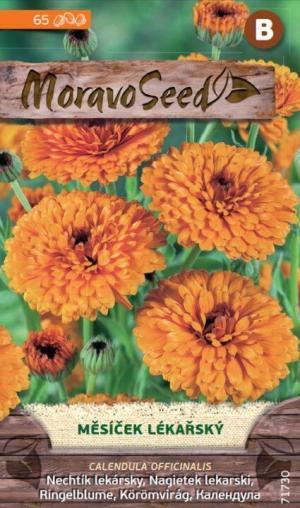 Nechtík lekársky MS 1,2 g/ 65s.