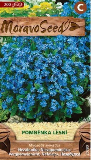 Nezábudka lesná MS modrá (Myosotis sylv.) 0,2g/ 200s.