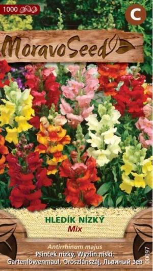 Papuľka MS nízka plnokvetá zmes 0,3g/ 1000s.