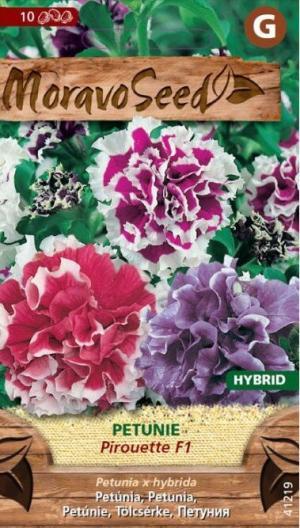 Petúnia hybrida MS Pirouette F1 plnokv.zmes
