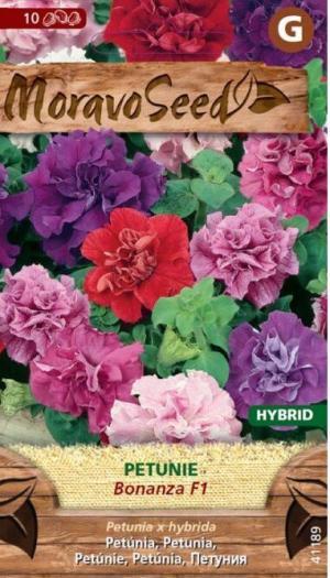Petúnia hybrida MS Bonanza F1 plnokv.zmes