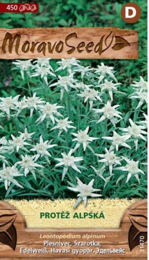Plesnivec alpký MS (Leontopodium alpinum) Protěž 0,1g/ 450s.