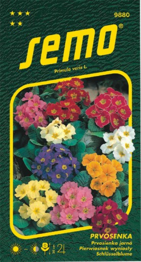 Prvosienka jarná SM26 zmes, 20cm, 0,2 g