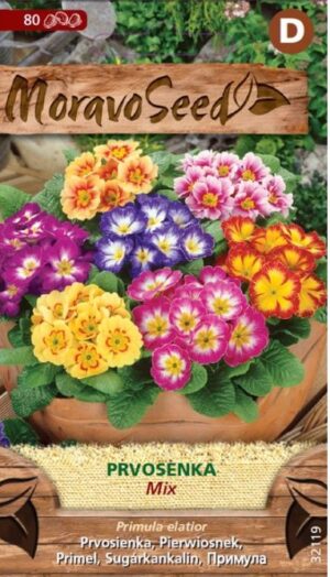 Prvosienka vyššia MS zmes (Primula elatior) 0,1g/ 80s.