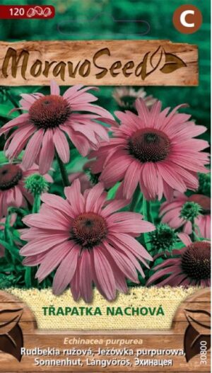 Rudbekia purpurová MS Echinacea purpurea  0,7g/ 90s.