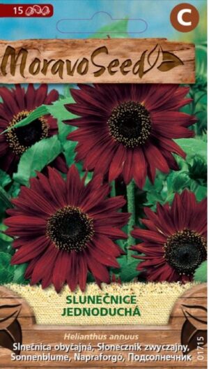 Slnečnica MS jednod. červená 1g/ 15s.