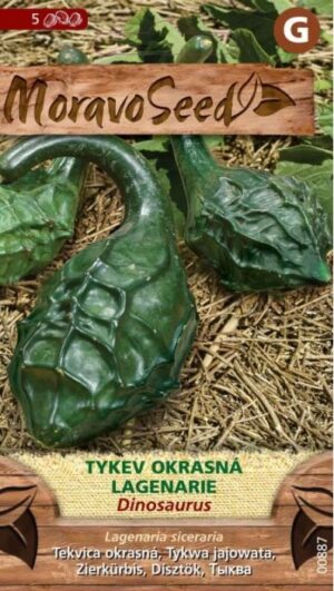 Tekvica okras. MS Dinosaurus 1g/ 5s.