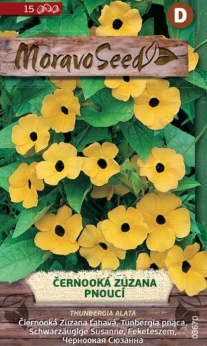 Tunbergia MS (Černooká Zuzana) žltá 15s.