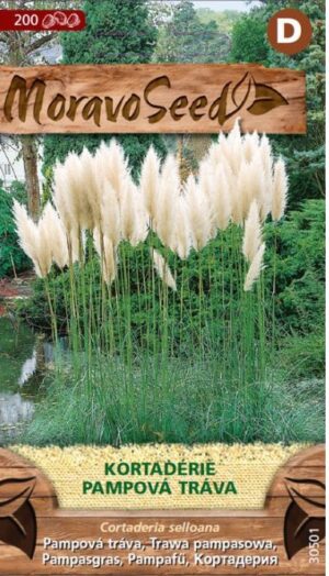Tráva pampová MS biela Cortaderia selloana 0,05g/ 200s.
