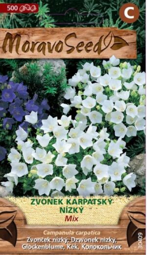 Zvonček karpatský  MS zmes Campanula carpatica  0,1g/ 500s.
