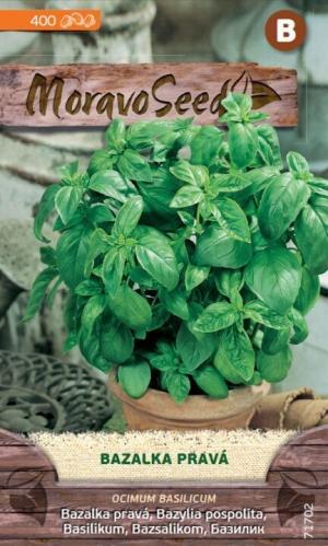 Bazalka pravá MS zelená  1g/ 450s.